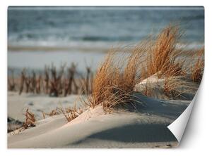 Fototapeta Duny na Baltském moři Materiál: Vliesová, Rozměry: 200 x 140 cm