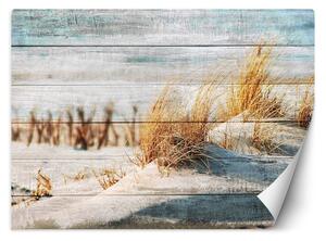 Fototapeta Plážové duny na dřevě Materiál: Vliesová, Rozměry: 200 x 140 cm