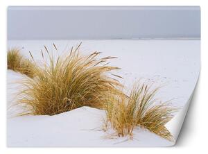 Fototapeta Duny na zlatém písku Materiál: Vliesová, Rozměry: 200 x 140 cm