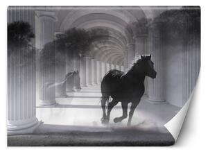 Fototapeta Běžící kůň Materiál: Vliesová, Rozměry: 200 x 140 cm