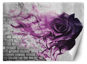 Fototapeta Fialová růže Materiál: Vliesová, Rozměry: 200 x 140 cm