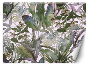 Fototapeta Monstera a tropické listy v pastelových barvách Materiál: Vliesová, Rozměry: 200 x 140 cm