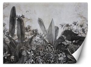 Fototapeta Černobílé tropické listy na betonu Materiál: Vliesová, Rozměry: 200 x 140 cm
