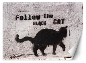 Fototapeta Černá kočka - následovat černou kočku, beton Materiál: Vliesová, Rozměry: 200 x 140 cm
