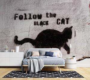 Fototapeta Černá kočka - následovat černou kočku, beton Materiál: Vliesová, Rozměry: 300 x 210 cm