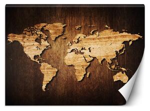 Fototapeta Mapa světa na dřevě Materiál: Vliesová, Rozměry: 200 x 140 cm