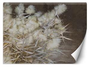 Fototapeta Pampas grass, boho Materiál: Vliesová, Rozměry: 200 x 140 cm