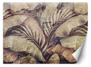 Fototapeta Palmové listy, džungle na imitaci betonu Materiál: Vliesová, Rozměry: 200 x 140 cm