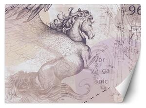 Fototapeta Pegasus, okřídlený kůň, abstraktní Materiál: Vliesová, Rozměry: 200 x 140 cm