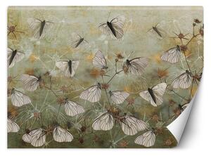 Fototapeta Motýli na pozadí staré zdi Materiál: Vliesová, Rozměry: 200 x 140 cm