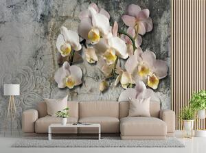 Fototapeta Kvetoucí orchidej na pozadí staré zdi Materiál: Vliesová, Rozměry: 200 x 140 cm