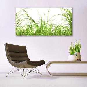 Akrylový obraz Tráva Rostlina Příroda 120x60 cm