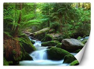 Fototapeta Zelený les Materiál: Vliesová, Rozměry: 200 x 140 cm