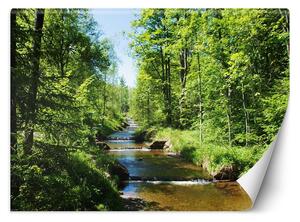 Fototapeta Řeka v zeleném lese Materiál: Vliesová, Rozměry: 200 x 140 cm
