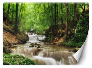 Fototapeta Voda uprostřed lesa Materiál: Vliesová, Rozměry: 200 x 140 cm