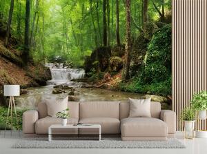 Fototapeta Voda uprostřed lesa Materiál: Vliesová, Rozměry: 200 x 140 cm