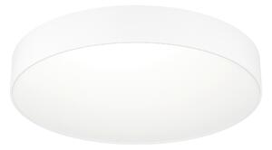 STROPNÍ LED SVÍTIDLO, 49,0/7,0 cm Eglo - Online Only svítidla, Online Only