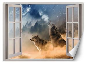 Fototapeta Okno - vytí vlků Materiál: Vliesová, Rozměry: 140 x 100 cm