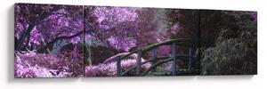 Obraz - Mystická zahrada (170x50 cm)