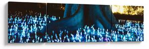 Obraz - Magický strom (170x50 cm)