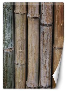 Fototapeta Pastelové stonky bambusu Materiál: Vliesová, Rozměry: 100 x 140 cm