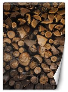 Fototapeta Naskládané dřevo Materiál: Vliesová, Rozměry: 100 x 140 cm