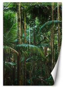 Fototapeta Tropické stromy na ostrově Materiál: Vliesová, Rozměry: 100 x 140 cm