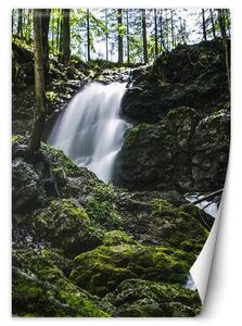 Fototapeta Vodopád uprostřed lesa Materiál: Vliesová, Rozměry: 100 x 140 cm