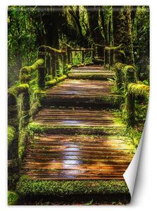 Fototapeta Most v zeleném lese Materiál: Vliesová, Rozměry: 100 x 140 cm