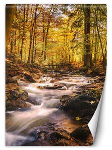 Fototapeta Podzimní vodopád Materiál: Vliesová, Rozměry: 100 x 140 cm