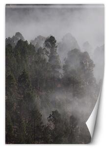 Fototapeta Zelený les v mlze Materiál: Vliesová, Rozměry: 100 x 140 cm