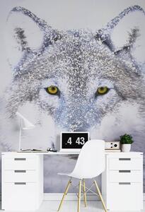 Fototapeta Portrét vlka v zimě Materiál: Vliesová, Rozměry: 100 x 140 cm