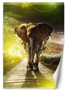 Fototapeta Magic elephant Materiál: Vliesová, Rozměry: 100 x 140 cm