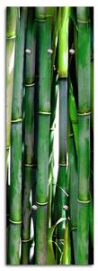Věšák na zeď Bambus Rozměry: 25 x 70 cm