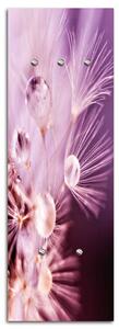 Věšák na zeď Pampeliška Rozměry: 25 x 70 cm