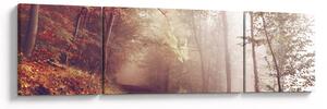 Obraz - Podzimní procházka lesem (170x50 cm)
