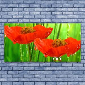 Akrylový obraz Máky Rostlina Příroda 120x60 cm