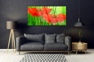 Akrylový obraz Máky Rostlina Příroda 120x60 cm
