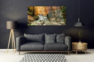 Plexisklo-obraz Vodopád Les Příroda 120x60 cm