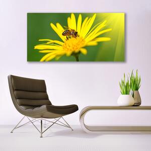 Plexisklo-obraz Vosa Květ Rostlina Příroda 120x60 cm