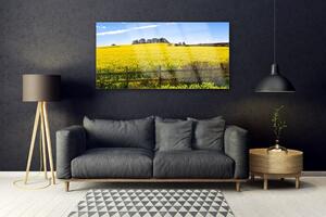 Akrylový obraz Pole Rostlina Krajina 120x60 cm