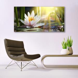 Plexisklo-obraz Vodní Lilie Slunce Rybník 120x60 cm