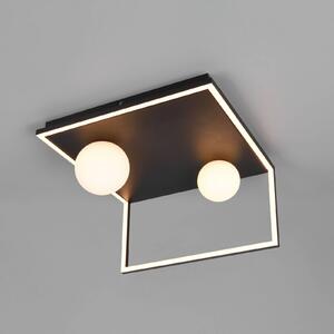 Trio Lighting LED stropní svítidlo Arola, matná černá, šířka 37 cm, kov, stmívatelný, Černá, Obývací pokoj / jídelna, kov, Moderní
