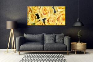 Akrylový obraz Růže Květiny Rostlina 120x60 cm