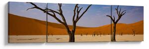 Obraz - Údolí smrti (170x50 cm)