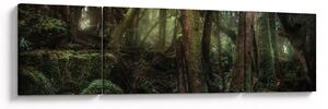 Obraz - Tajemný les (170x50 cm)