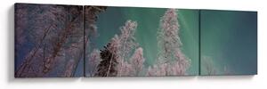 Obraz polární záře nad zmrzlými stromy (170x50 cm)