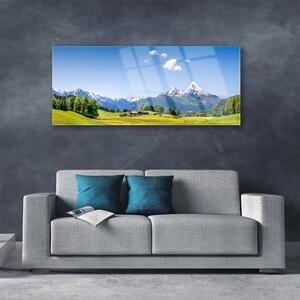 Akrylový obraz Pole Stromy Hory Krajina 125x50 cm
