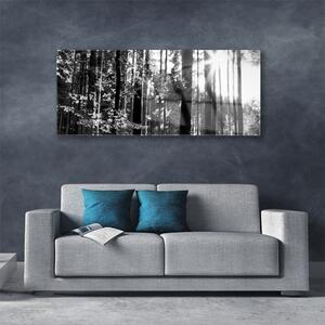 Akrylový obraz Les Příroda 125x50 cm