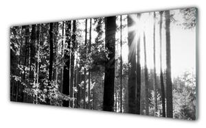 Akrylový obraz Les Příroda 125x50 cm